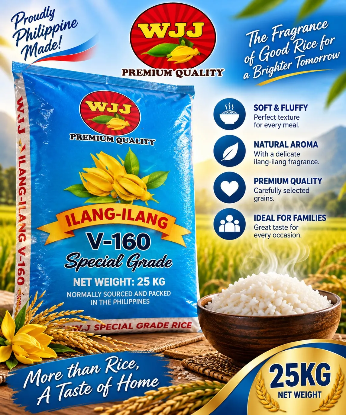 WJJ V-160 25KG